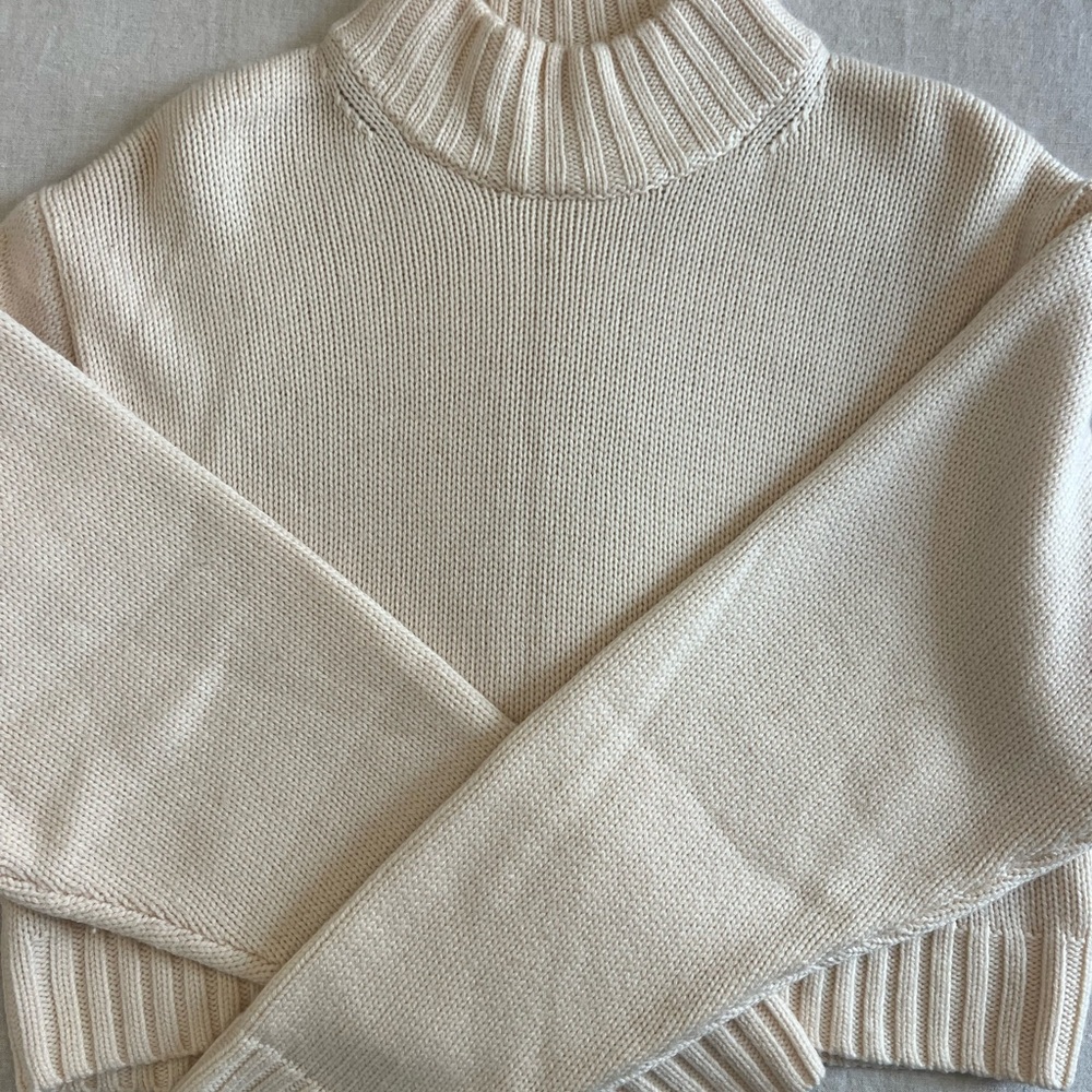 Wilfred - Aritzia Cream Turtleneck Sweater